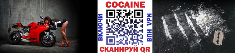 где купить наркоту  маркетплейс Telegram  КОКАИН 97%  Фокино 