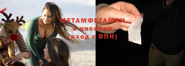 прущие грибы Балабаново