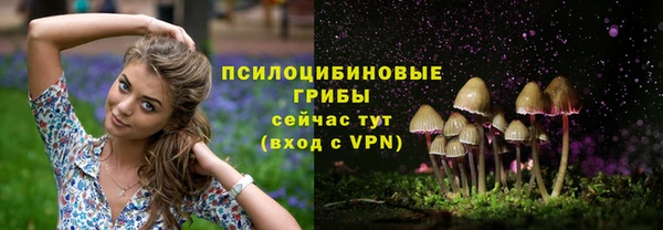 прущие грибы Балабаново