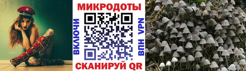 нарко площадка наркотические препараты  Фокино  Галлюциногенные грибы мицелий  omg маркетплейс 